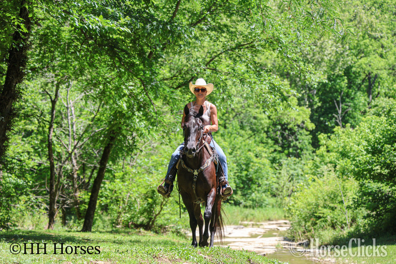 Quarter Horse - "SMIPPYS WEASL" Black Mare Quarter Horse