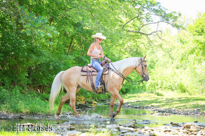 Kentucky "TEXICA SNOW" Palomino Mare Quarter Horse