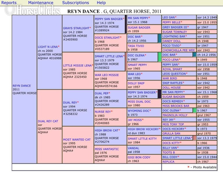 Texas "Chief" Sorrel Gelding Quarter Horse