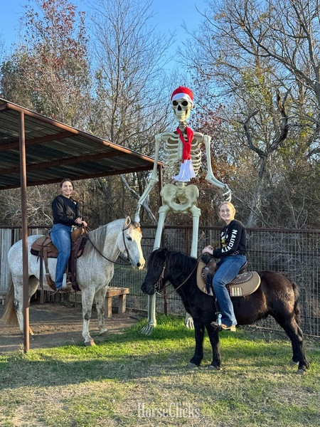 Pony - "Concho" Black Gelding Pony in Texas