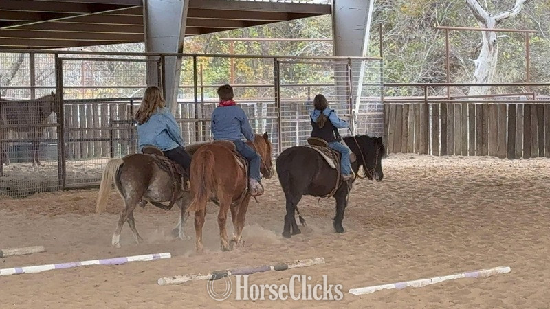 Pony - "Concho" Black Gelding Pony