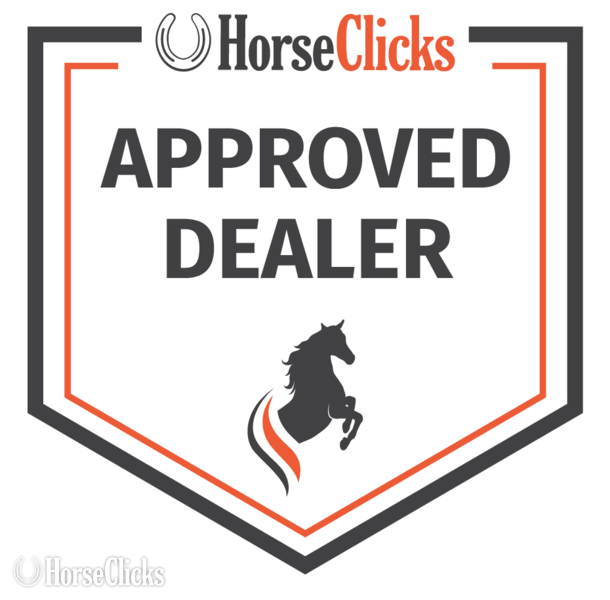 "DK METALLIC REY DUDE" Palomino Gelding Quarter Horse