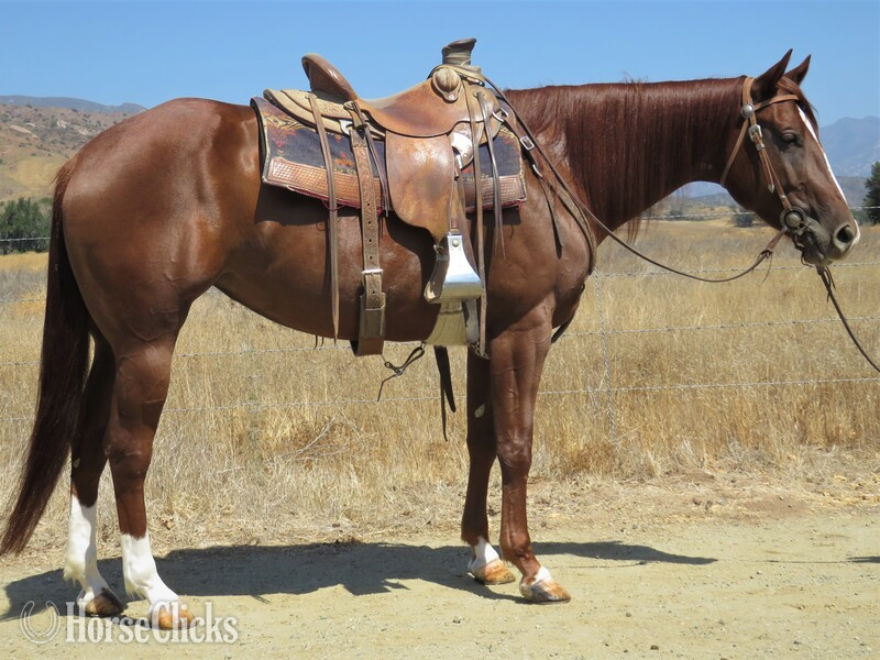 "EXTREME INVITATION" Sorrel Mare Quarter Horse in California