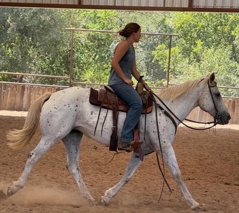 "Opal" White Mare Appaloosa