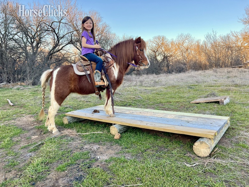 Pony - "June Bug" Sorrel Mare Pony in Texas