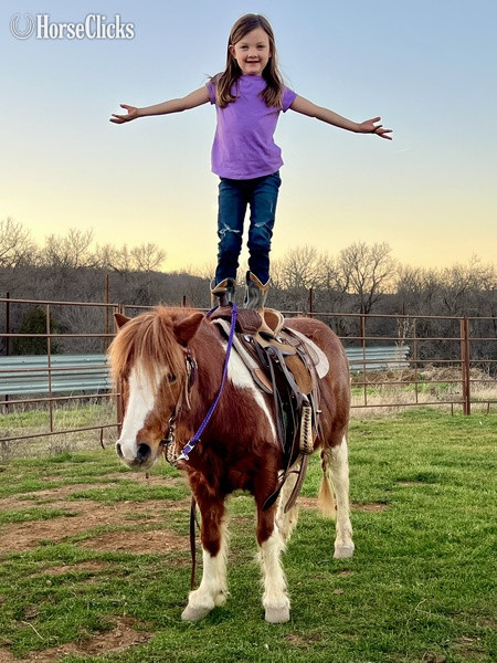 Pony - "June Bug" Sorrel Mare Pony