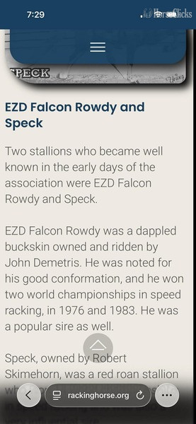 Other 15hh Racking Horse Stallion