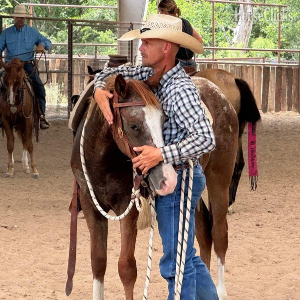 "Lena" Red Roan Mare Appaloosa