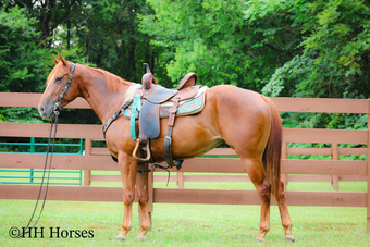 "RUBY ROYALTY" Sorrel Mare Quarter Horse