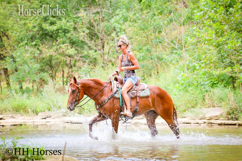 "RUBY ROYALTY" Sorrel Mare Quarter Horse - Quarter Horse in Kentucky