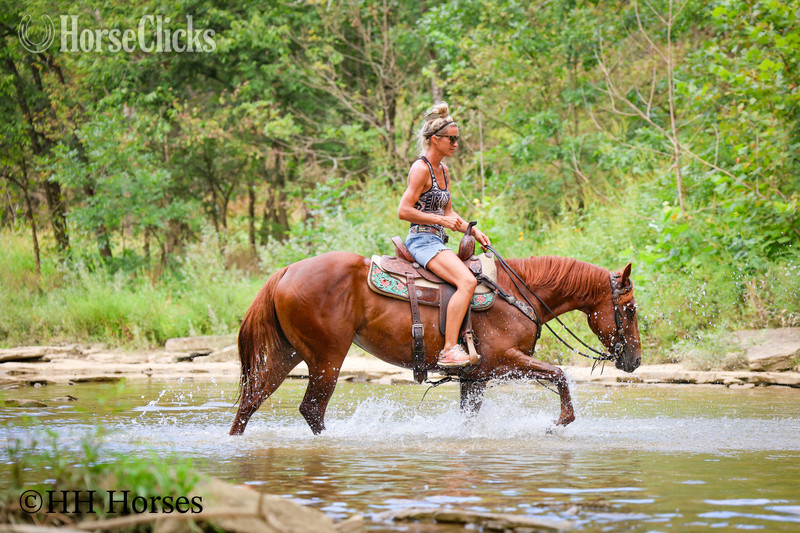 "RUBY ROYALTY" Sorrel Mare Quarter Horse - Quarter Horse