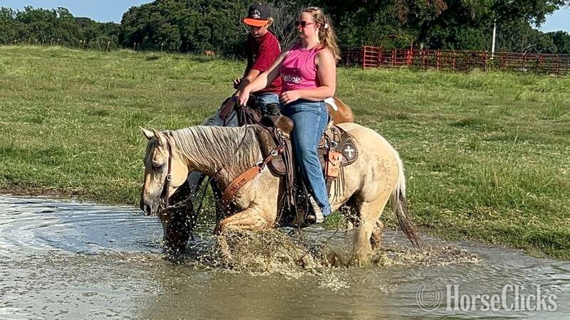 "Annie" Palomino Mare Quarter Horse