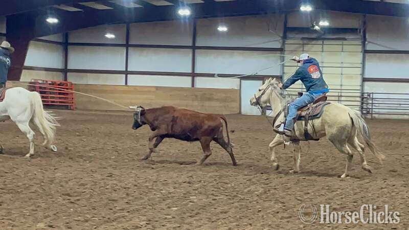 "Annie" Palomino Mare Quarter Horse - Quarter Horse in Texas