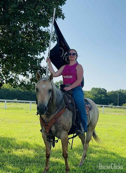"Annie" Palomino Mare Quarter Horse - Quarter Horse