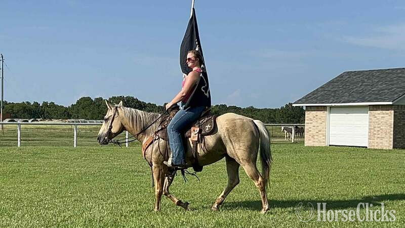 Quarter Horse - "Annie" Palomino Mare Quarter Horse in Texas