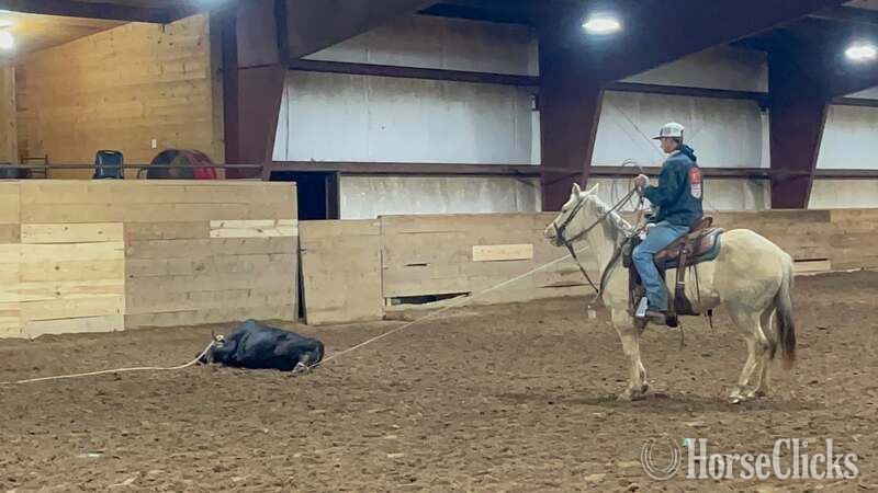 Quarter Horse - "Annie" Palomino Mare Quarter Horse