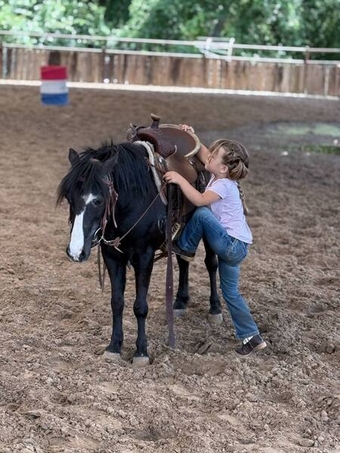 "Cobalt" Black Gelding Pony