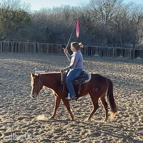 Quarter Pony - "Winnie" Sorrel Mare Quarter Pony in Texas