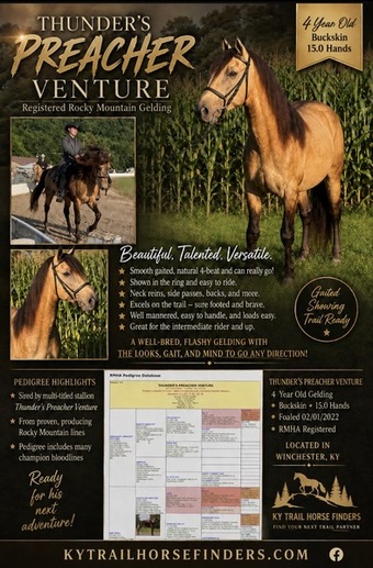"Thunder?s Preacher Venture " Buckskin Gelding Rocky Mountain