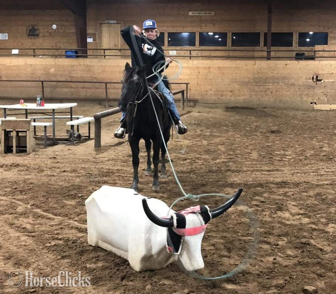 Texas "Vivian" Black Mare Quarter Horse