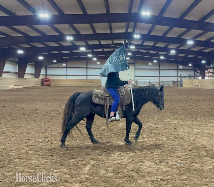 "Vivian" Black Mare Quarter Horse - Quarter Horse