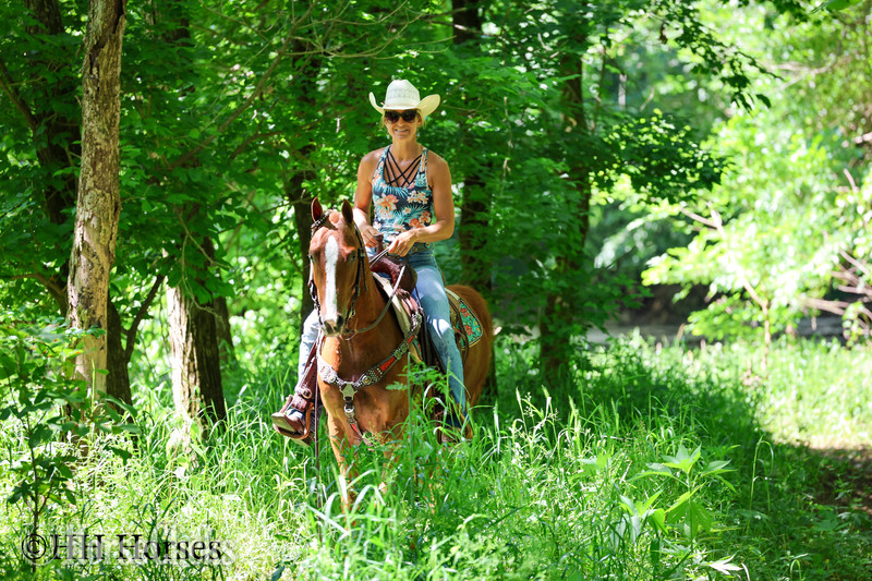 "LITTLE RED FERRARI" Sorrel Gelding Morgan - Morgan