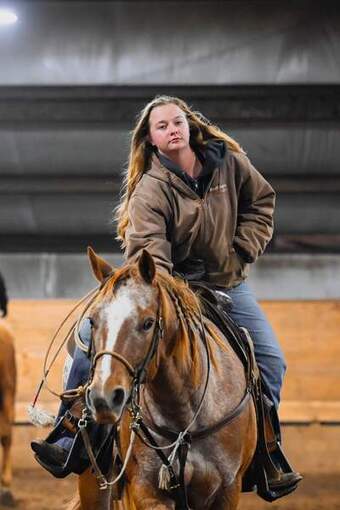 "Jackpot" Chestnut Gelding Appaloosa