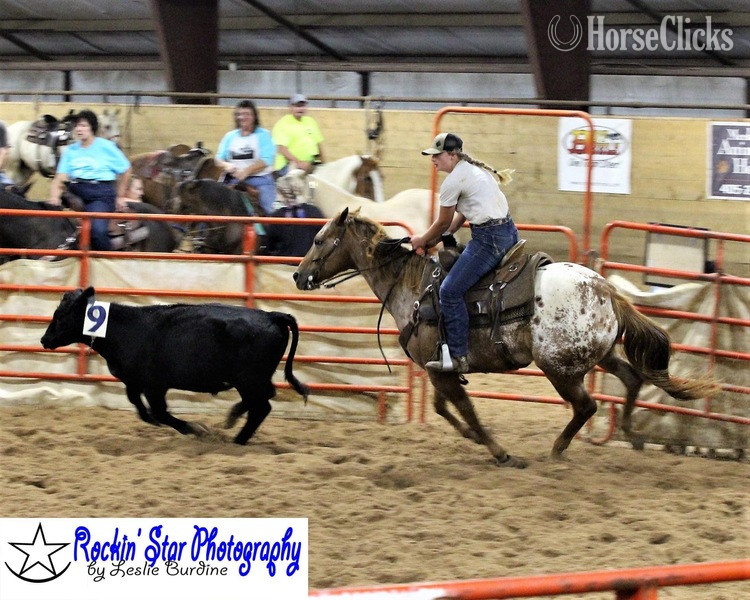 "Jackpot" Chestnut Gelding Appaloosa Texas