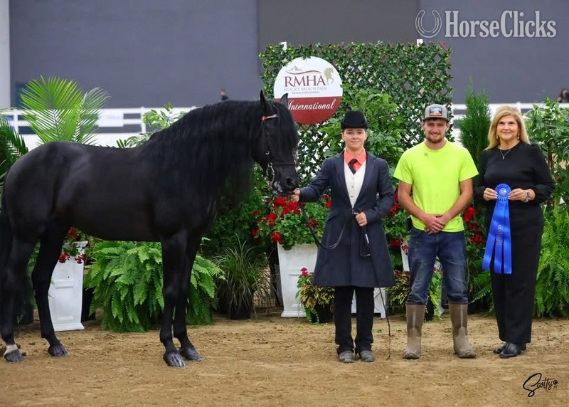 Kentucky "Colt 45" Black Colt Rocky Mountain