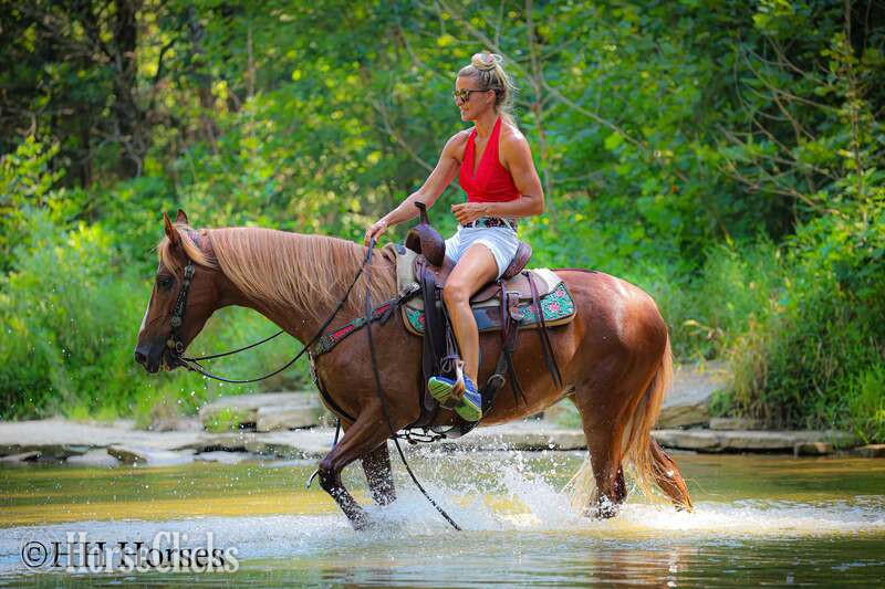 "CHERRY PIE" Sorrel Mare Kentucky Mountain - Kentucky Mountain