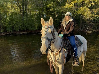 "Pure Sugar ?Sequoia?" Palomino Mare Tennessee Walker