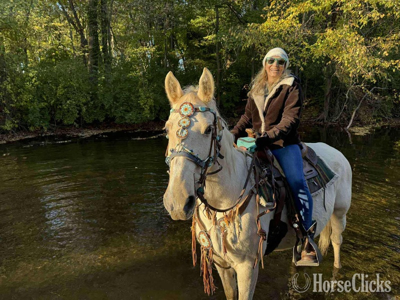 "Pure Sugar ?Sequoia?" Palomino Mare Tennessee Walker in Kentucky