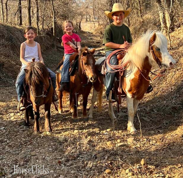 "Bubbles" Sorrel Mare Pony - Pony in Texas