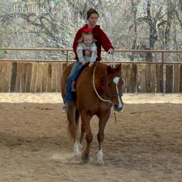"Mink" Sorrel Gelding Quarter Horse