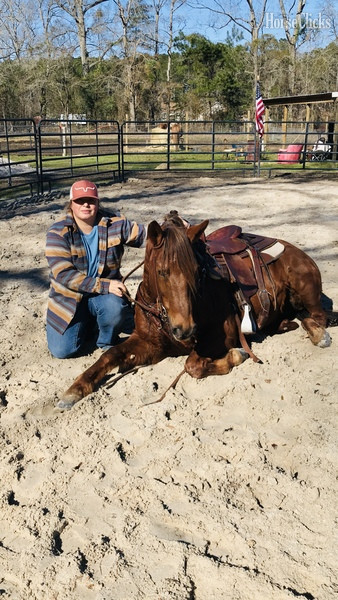 "Misty" Sorrel Mare Mustang