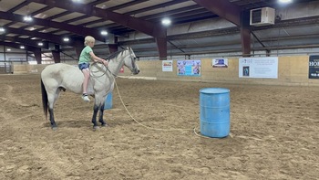 "Puddy" Buckskin Gelding Quarter Horse