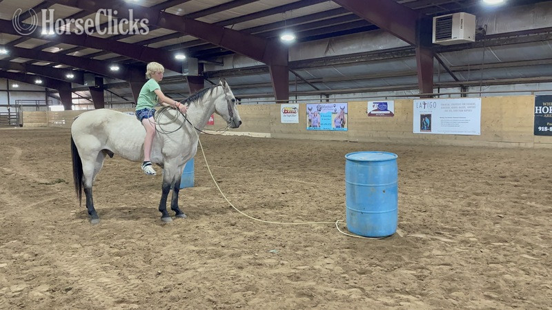 "Puddy" Buckskin Gelding Quarter Horse in Texas