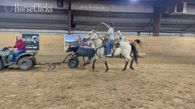 "Puddy" Buckskin Gelding Quarter Horse