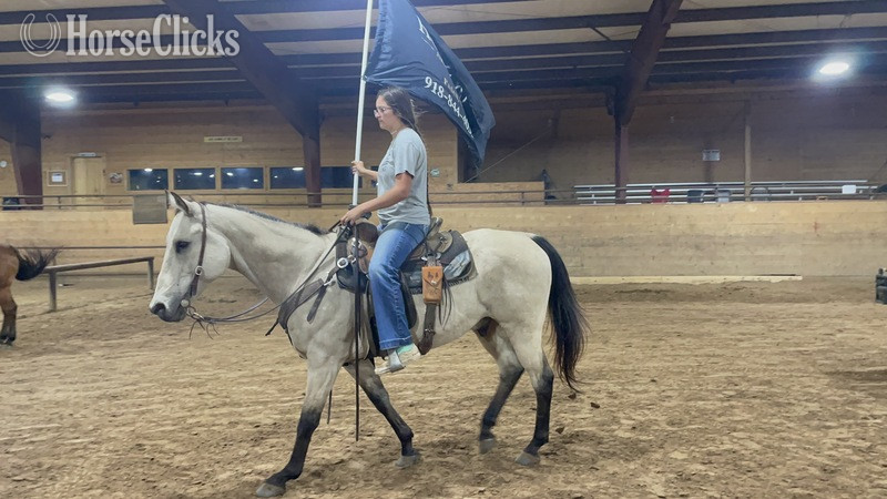 "Puddy" Buckskin Gelding Quarter Horse - Quarter Horse