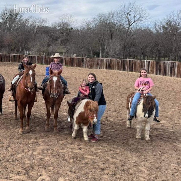 "Tori" Sorrel Gelding Pony - Pony