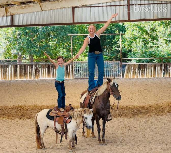 "Happy" Buckskin Mare Pony in Texas