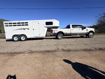 "Trails West 3 Horse" White Gelding Quarter Horse