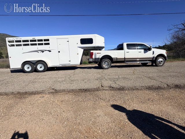 "Trails West 3 Horse" White Gelding Quarter Horse in California