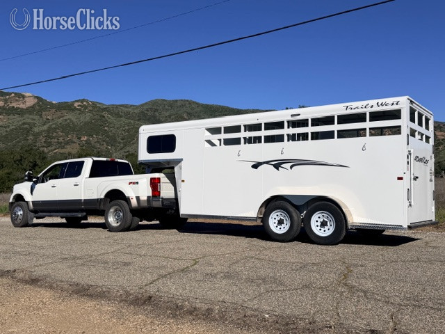"Trails West 3 Horse" White Gelding Quarter Horse - Quarter Horse