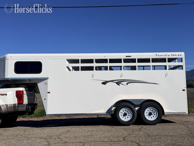 "Trails West 3 Horse" White Gelding Quarter Horse California