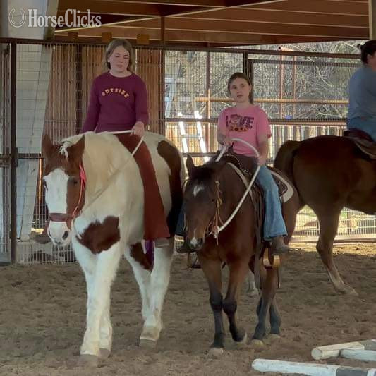 Texas "Nix" Sorrel Gelding Paint