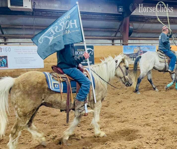 Quarter Pony - "JavaChip" Silver Dapple Gelding Quarter Pony