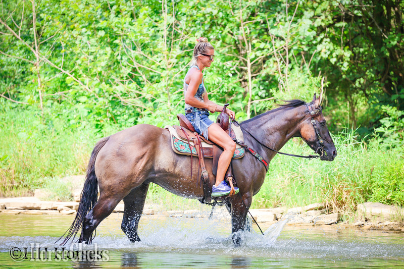 Quarter Horse - "OLE MANS BIG LEAGUER" Grullo Gelding Quarter Horse in Kentucky