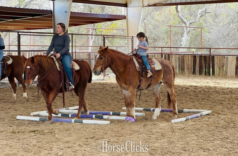 Quarter Horse - "Rubble" Red Roan Gelding Quarter Horse in Texas