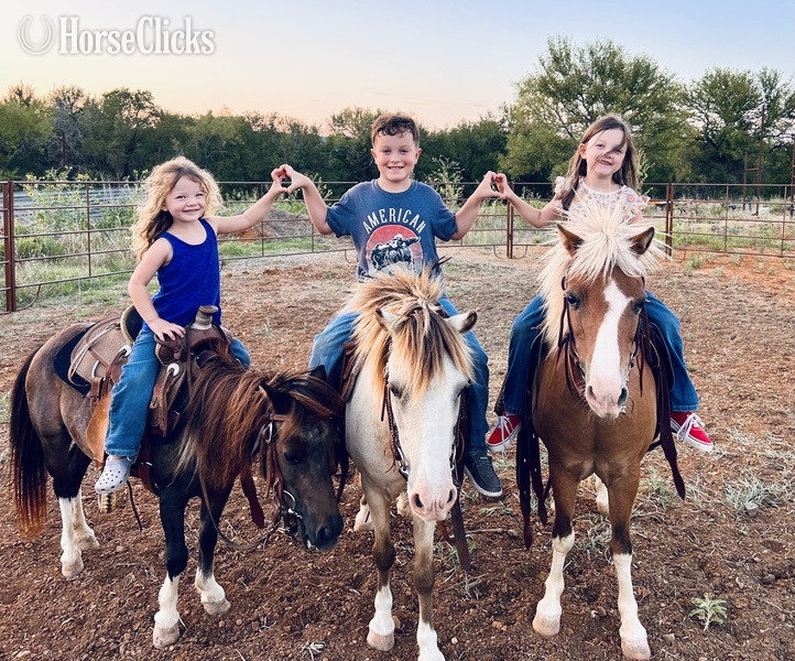Texas "Cheerio" Sorrel Gelding Pony